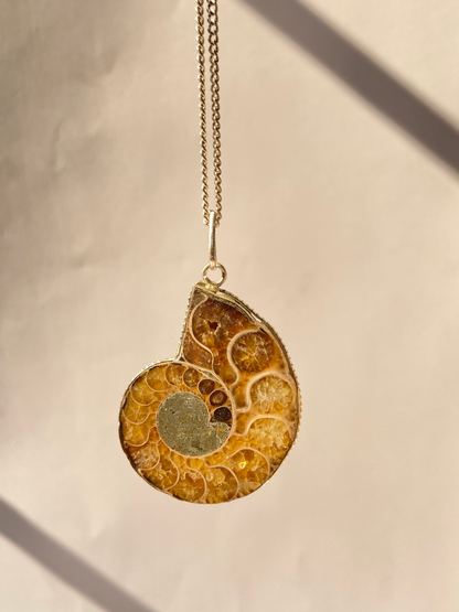 Ammonite pendant