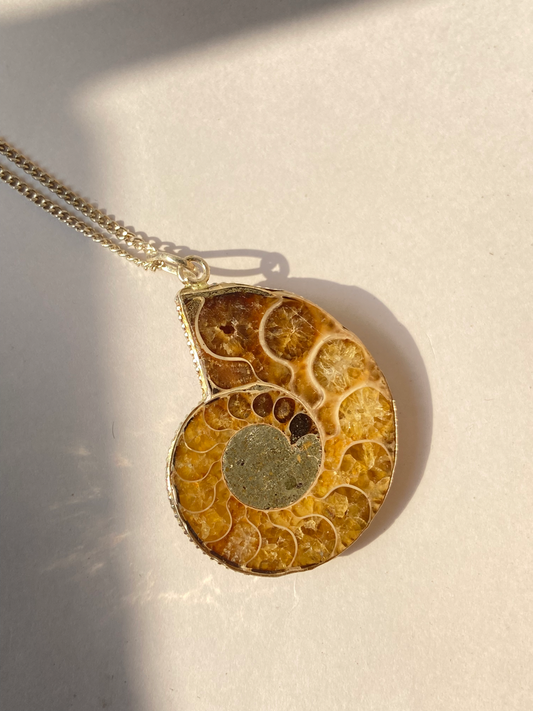 Ammonite pendant