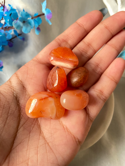 Carnelian Tumbles