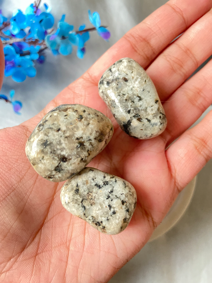 Dalmatian Jasper Tumbles