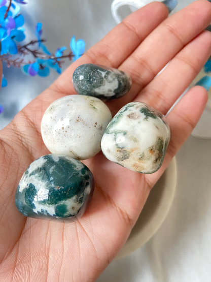 Tree Agate Tumbles